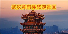 欧美人妖插逼